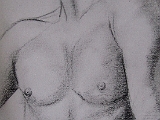 Torso.JPG