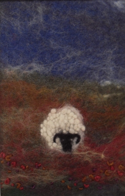 Highland Sheep - NFS