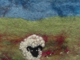 SDC18230.JPG