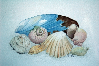 Shells - NFS