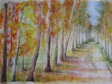 Autumn.JPG